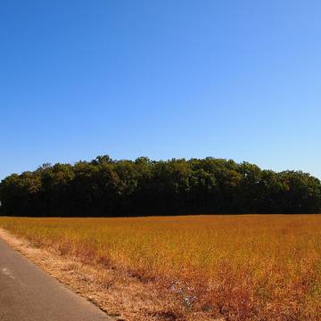 Quatre Tumulis de Tusson